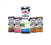test produk